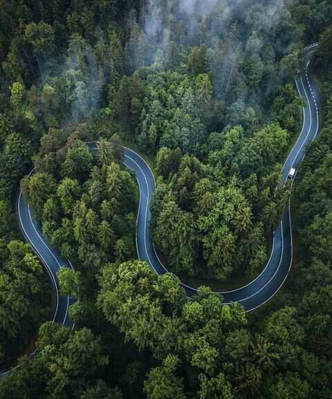 tukwa2's tweet image. #saveAllRainForest
#saveAmazonForest
#savecongoForest
#ClimateEmergencyNow 
#ClimateAction 
Pic 1 Entoto Park ETHOPIA