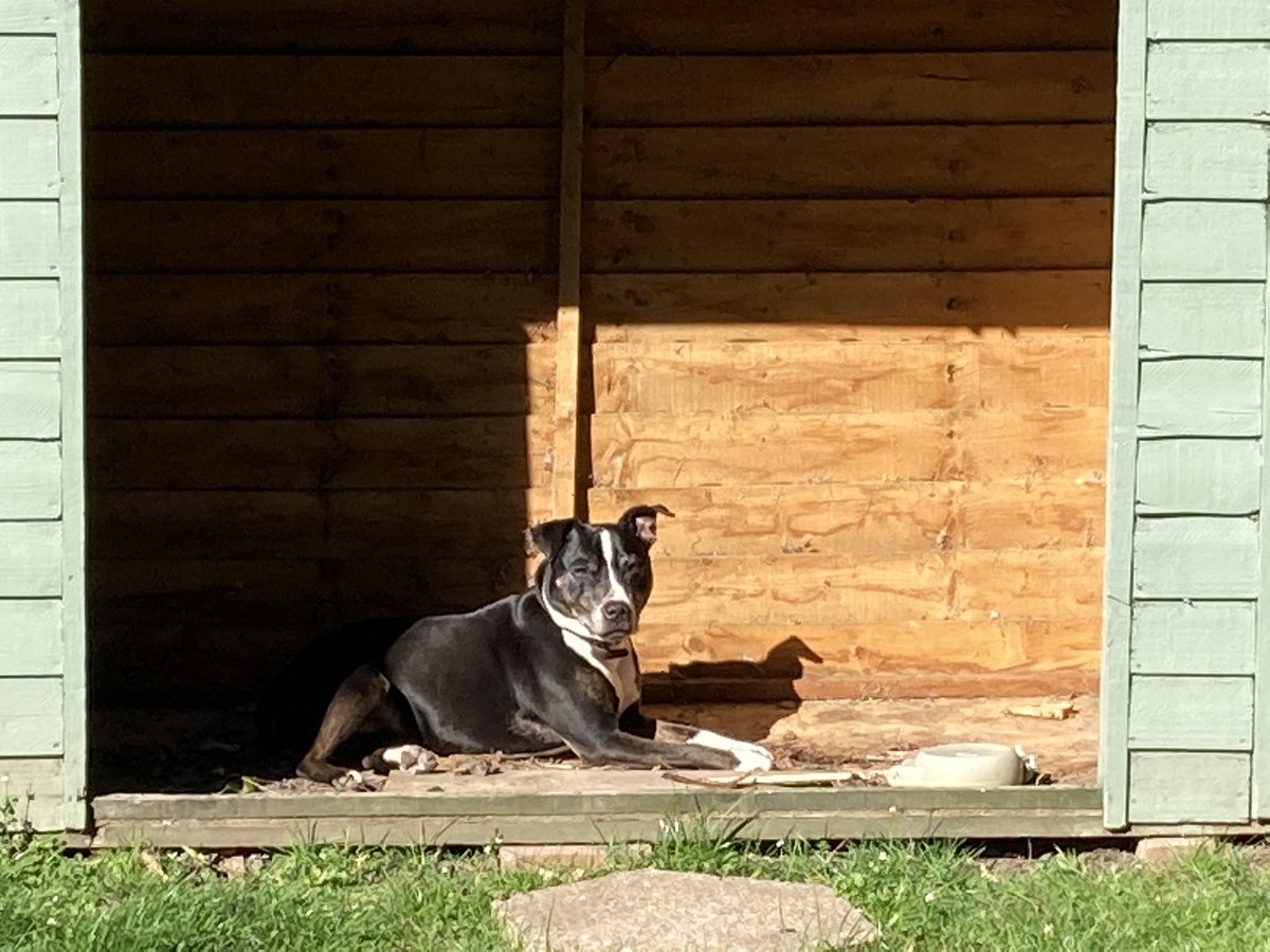 VictoriaCredla1's tweet photo. @WeStudentNurse Lucky making use of the empty wood shed🤣 https://t.co/XYtvBbYCgi