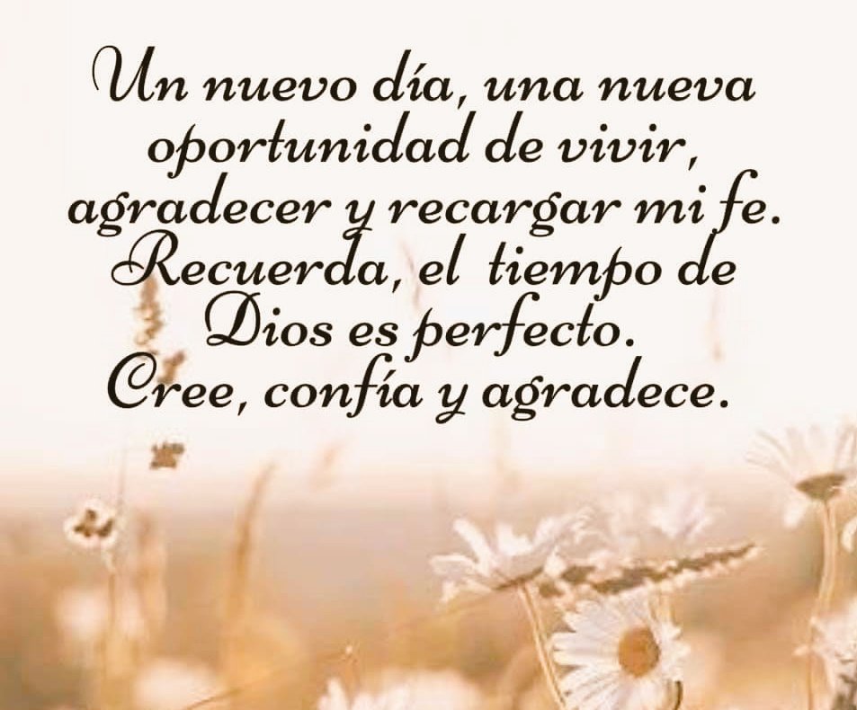 fiorecaro10's tweet photo. Buenos días mis amores, espero se encuentren todos bien.
Agradeciendo a Dios por otro día y estar de nuevo por aquí con ustedes. 🙏😊 #SeLesQuiere 😘
Una semana fuerte, de mucho trabajo y el estrés por la escasez de combustible. #CosechandoAndo 💚 https://t.co/fC7m7zZHHD