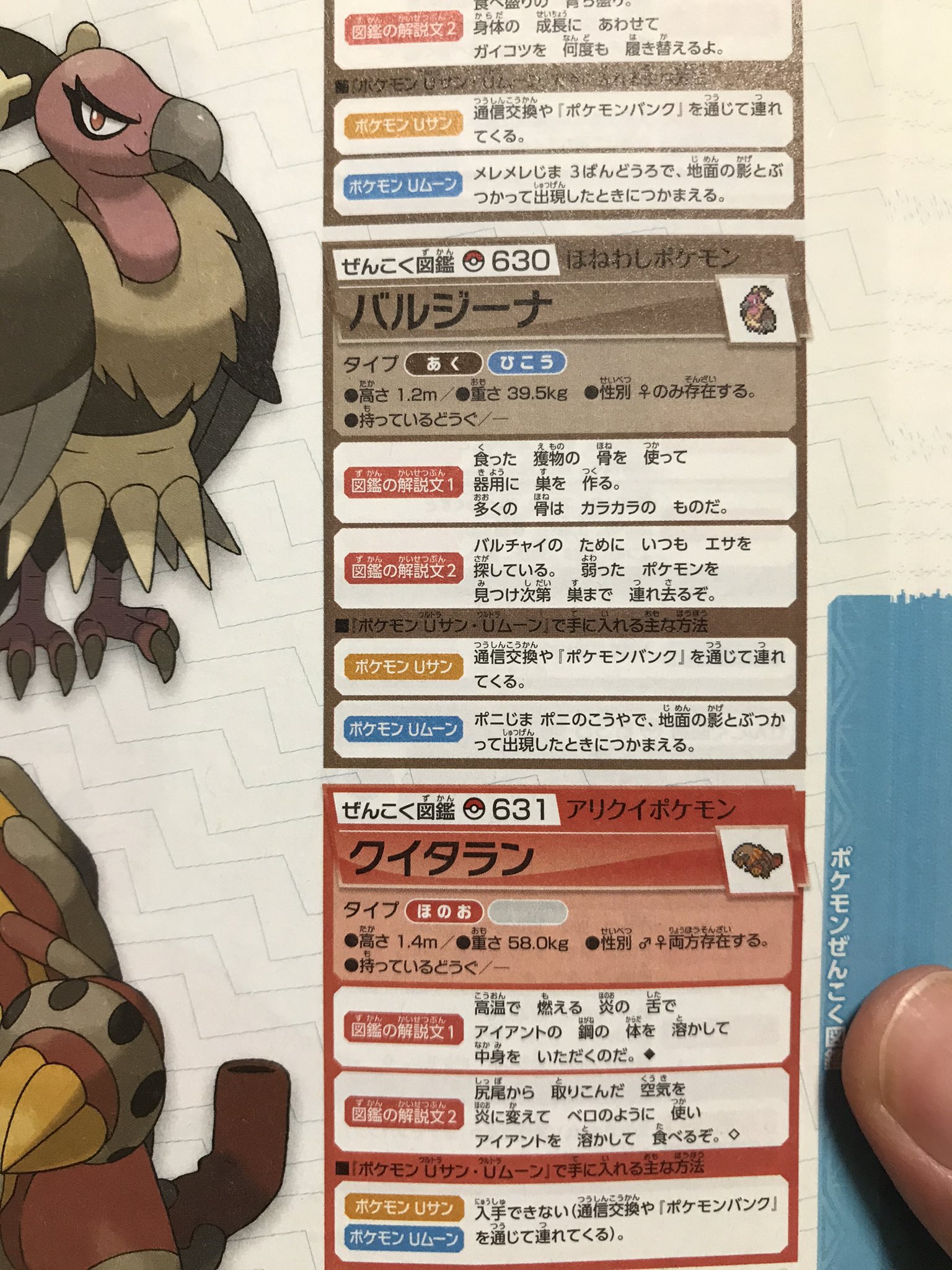 はなみー Ha7co 22 Sept 3 ポケモン図鑑の解説文って興味深くて改めて面白い ただカラカラが不憫すぎる これも自然の摂理なのか ポケモン ポケモンぜんこく図鑑 カラカラ 不憫 バルジーナ 子育てのため T Co Uncv2wwzft Twitter