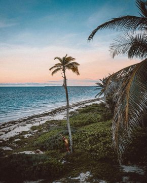 WorldTourisms's tweet photo. Tulum, Mexico 🇲🇽
via: lucaspinhel https://t.co/9AlPnIs9wn