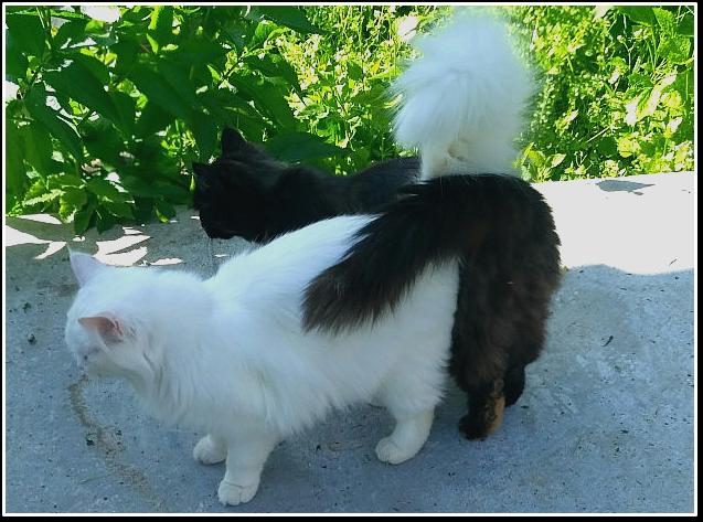 PlatetYa's tweet photo. ...все в этом мире укрепляет нашу силу духа, лишь наш выбор - принимать это, или жаловаться на обстоятельства, человек может выбрать себе дорогу испытаний - но лишь потому, чтобы быть сильнее и терпеливее... https://t.co/uGlR67VNL5