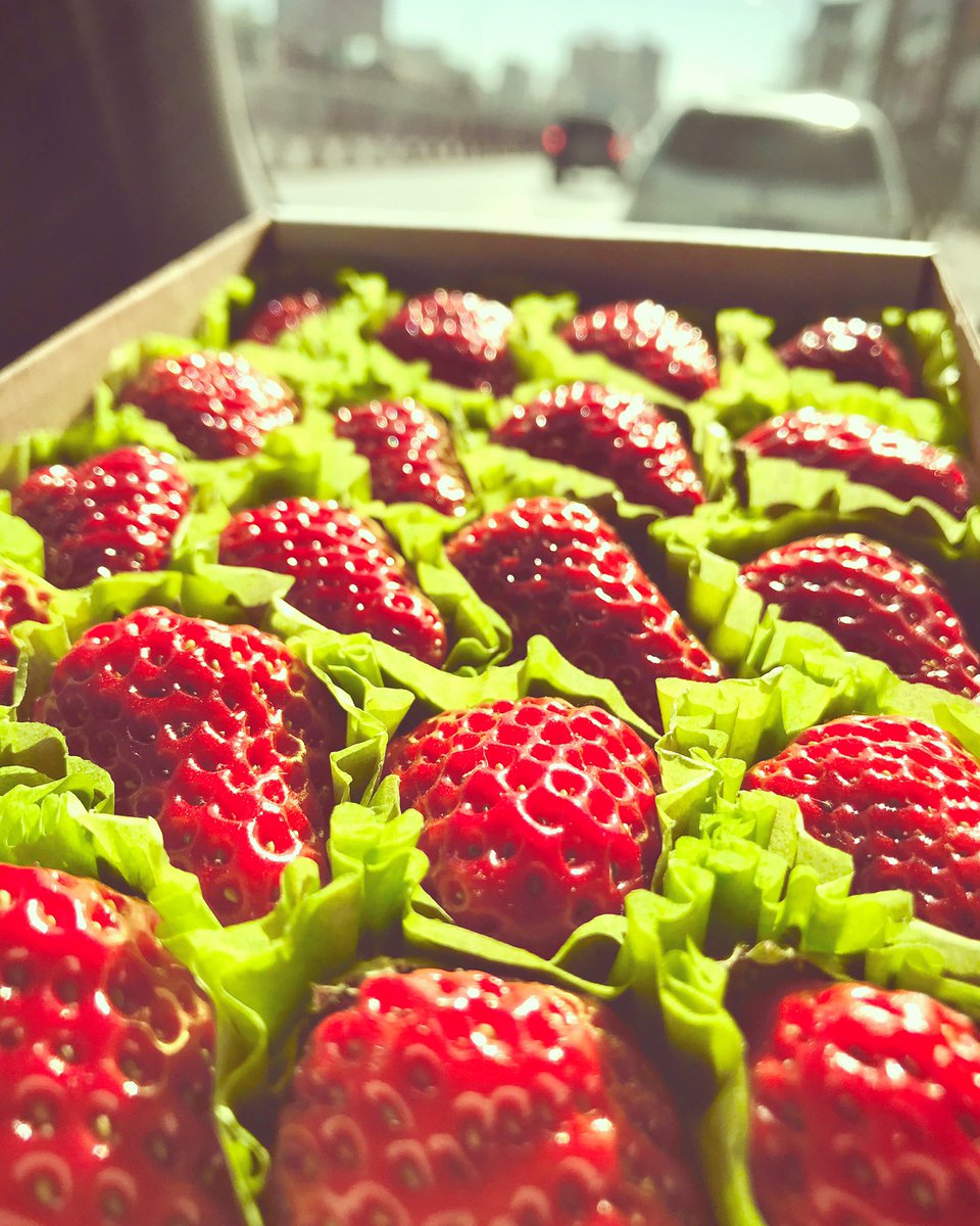 "Strawberry"

#Strawberry #ub #mongolia #photo #fruit