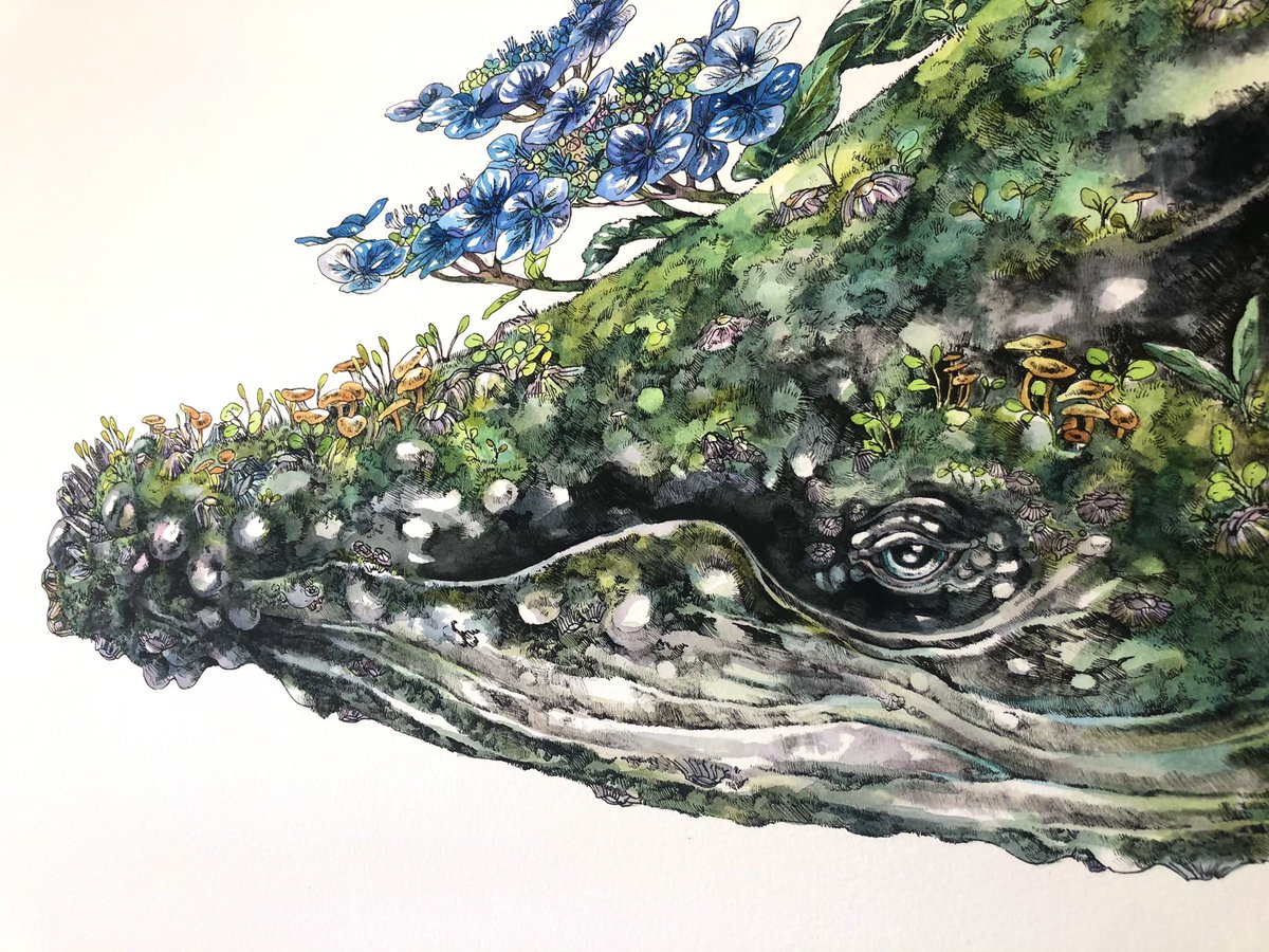 「クジラと紫陽花という自分の中でもトップクラスに好きなモチーフを組み合わした作品で」|Keso Artのイラスト