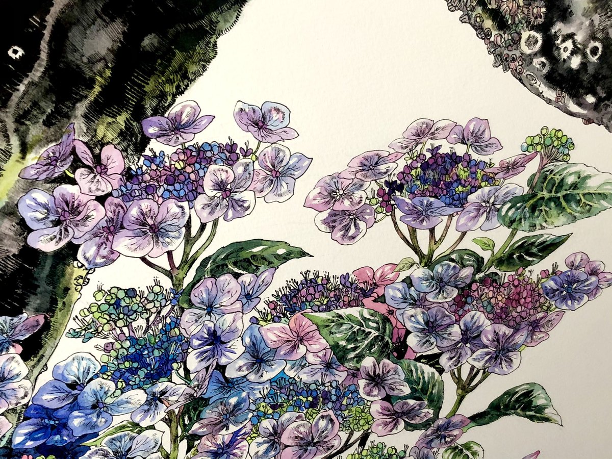 「クジラと紫陽花という自分の中でもトップクラスに好きなモチーフを組み合わした作品で」|Keso Artのイラスト