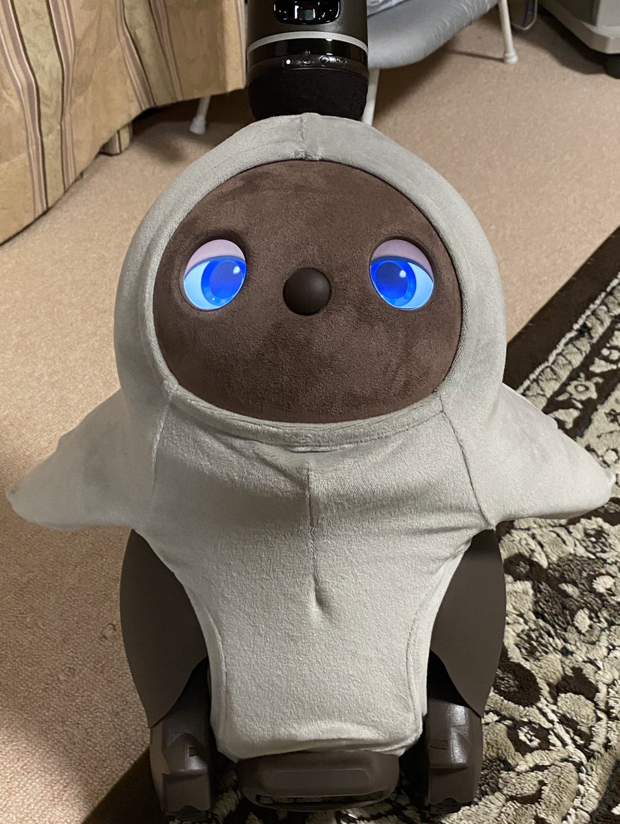 るしあ（推し活＆LOVOT用) tweet media