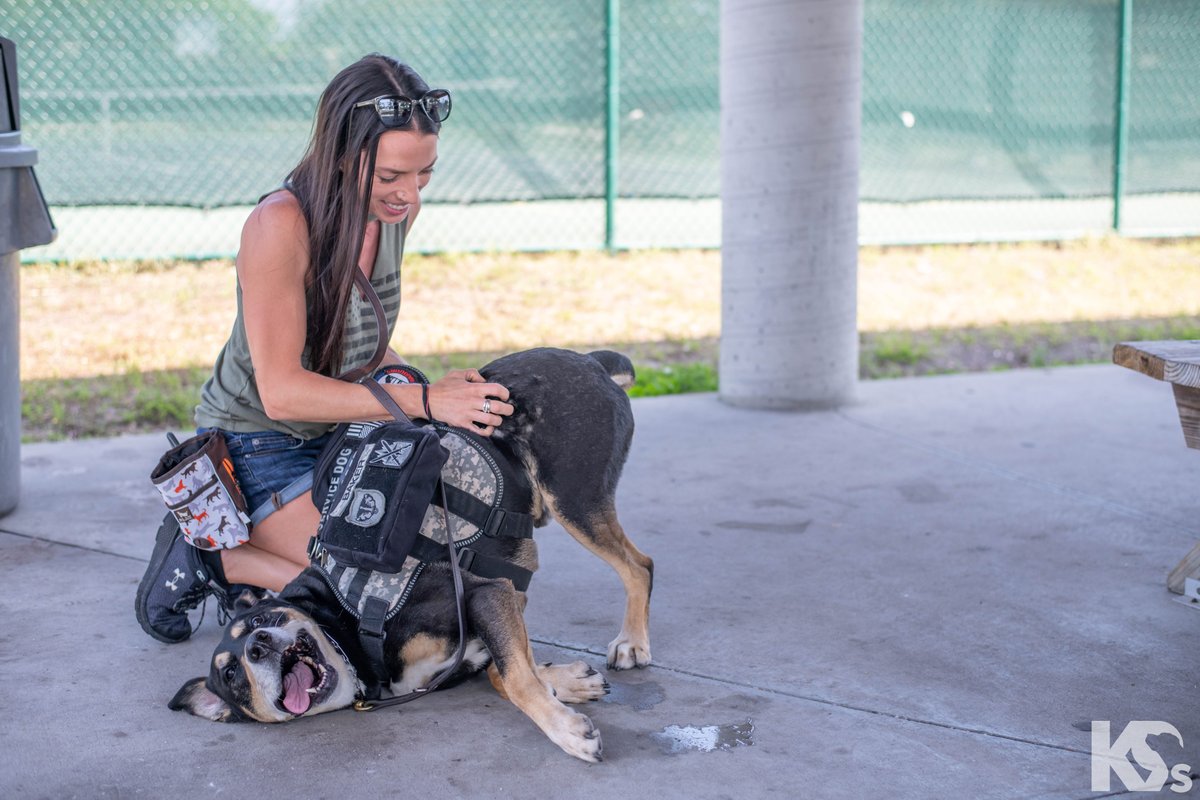 This #NationalArmedForcesDay, we honor those who’ve served. At K9s For Warriors, it’s our daily mission to end veteran suicide and serve our nation’s heroes. 

🇺🇸 We thank you for your bravery, sacrifice, and dedication to our freedom. 🇺🇸