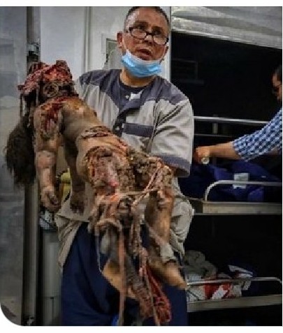 Muhammadaklouk's tweet photo. @AlarabyTV للنشر هذا ما تفعله العصابات الإجرامية الصهيونية ضد أبناء الشعب الفلسطيني https://t.co/KTrmyEONtp