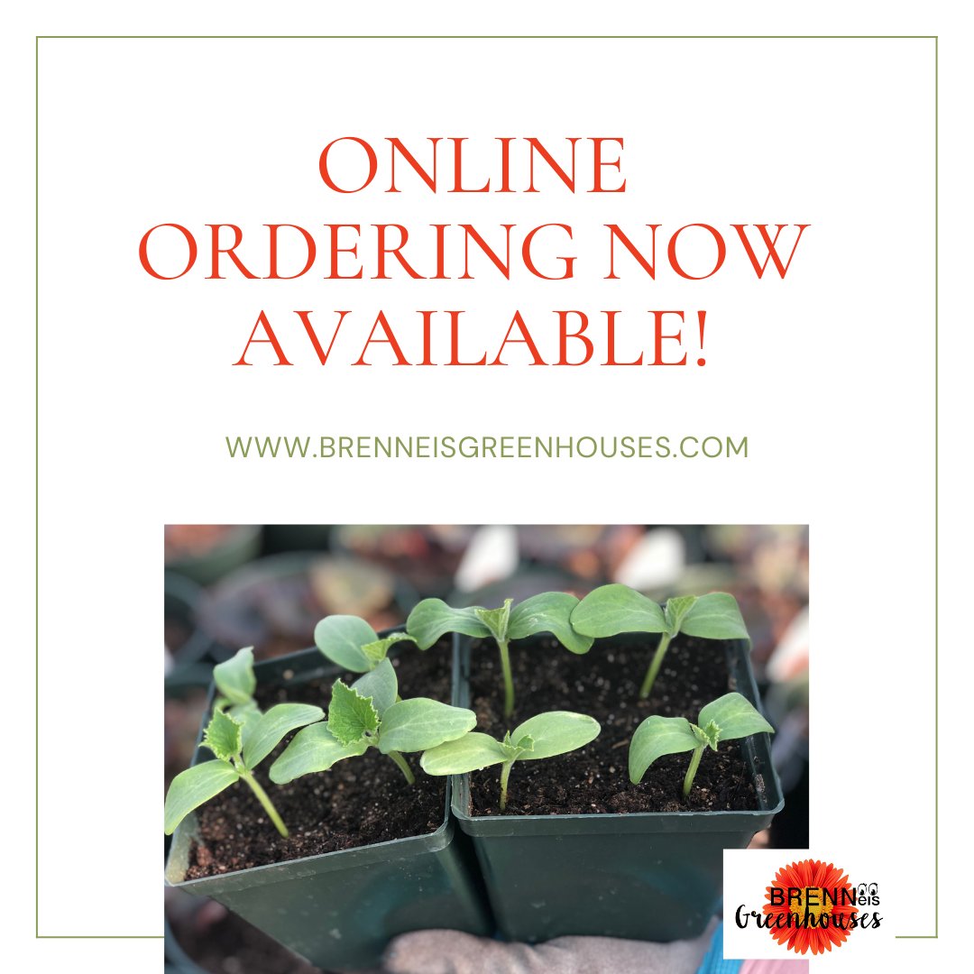 𝐂𝐚𝐥𝐥𝐢𝐧𝐠 𝐚𝐥𝐥 𝐕𝐞𝐠𝐞𝐭𝐚𝐛𝐥𝐞 𝐆𝐚𝐫𝐝𝐞𝐧𝐞𝐫𝐬!⁣
⁣⁣
 Did you run out of time to plant vegetable seeds?⁣
⁣
We have an assortment of plants that are available in our greenhouses ready to be transplanted to your garden.⁣

 brenneisgreenhouses.com
