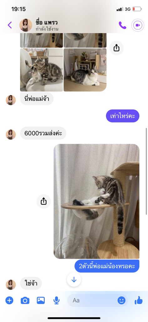 DNVP 💋 (Malonfamily) tweet media