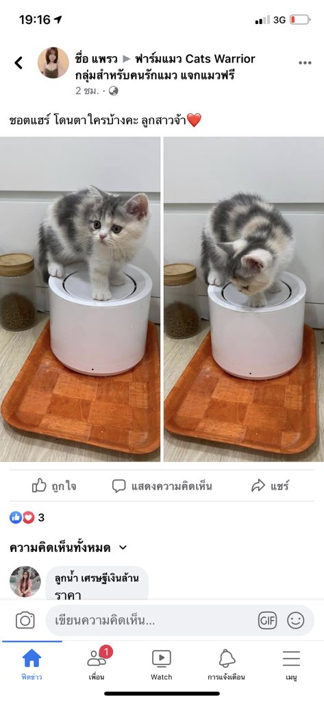 DNVP 💋 (Malonfamily) tweet media