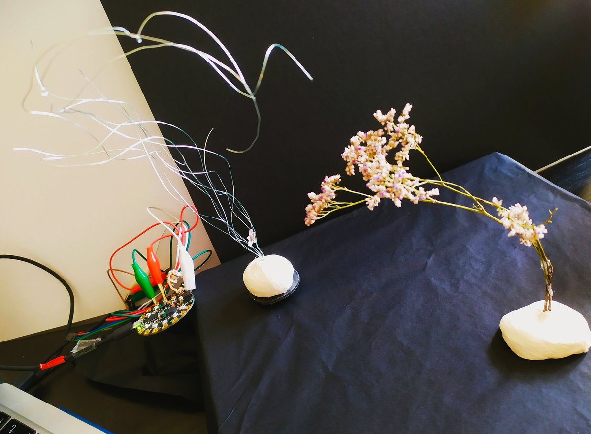 Small work-in-progress 🙂🐍🤖 #circuitpython #robot #techandart
 #python #pyladies