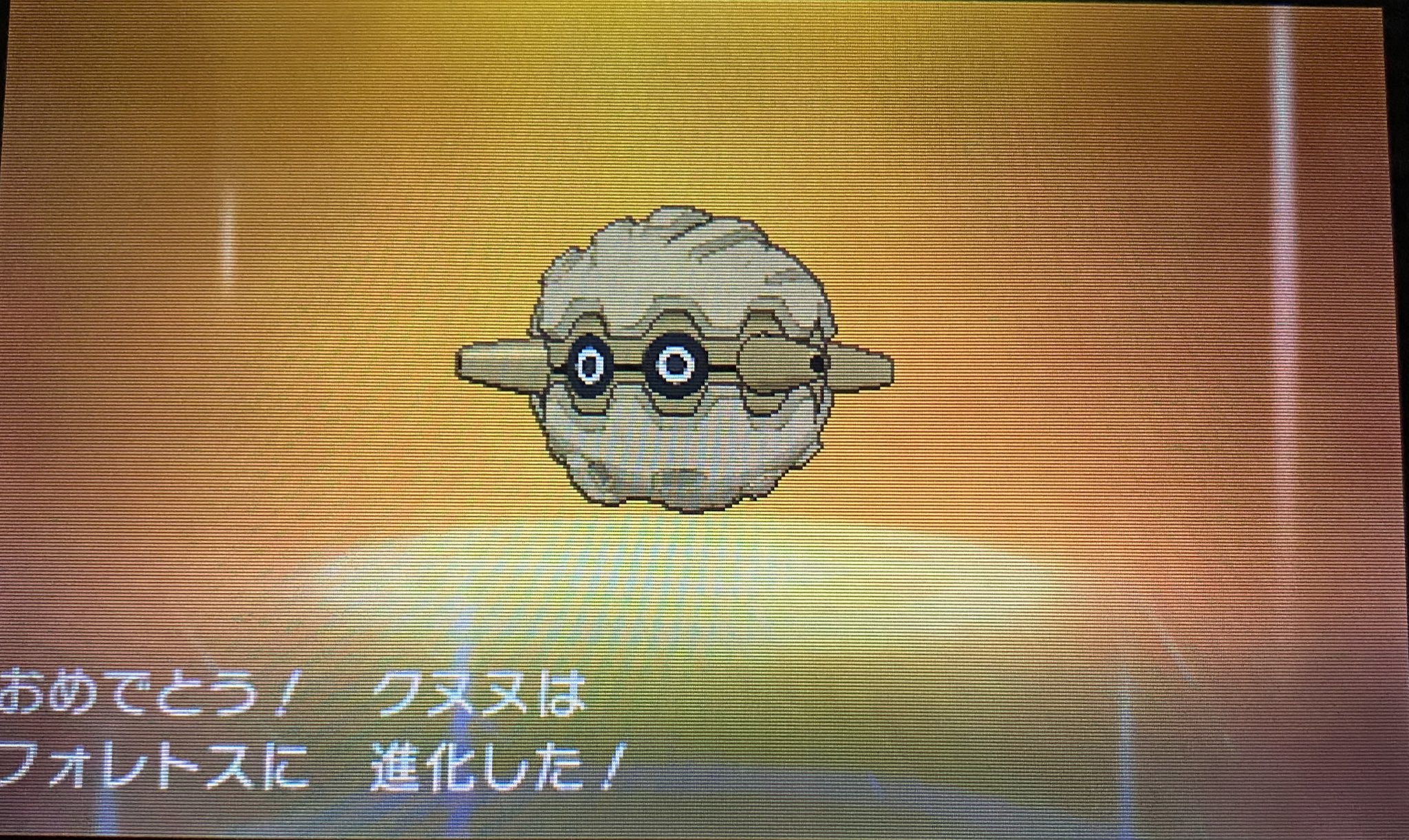 じん はい 先程ゲットした色違いクヌギダマをフォレトスに進化させました 進化させるとなんと金一色に 通常色がカラフルだったのに 単色になるとは 変わった色違いですね T Co Fafmkgzurc Twitter