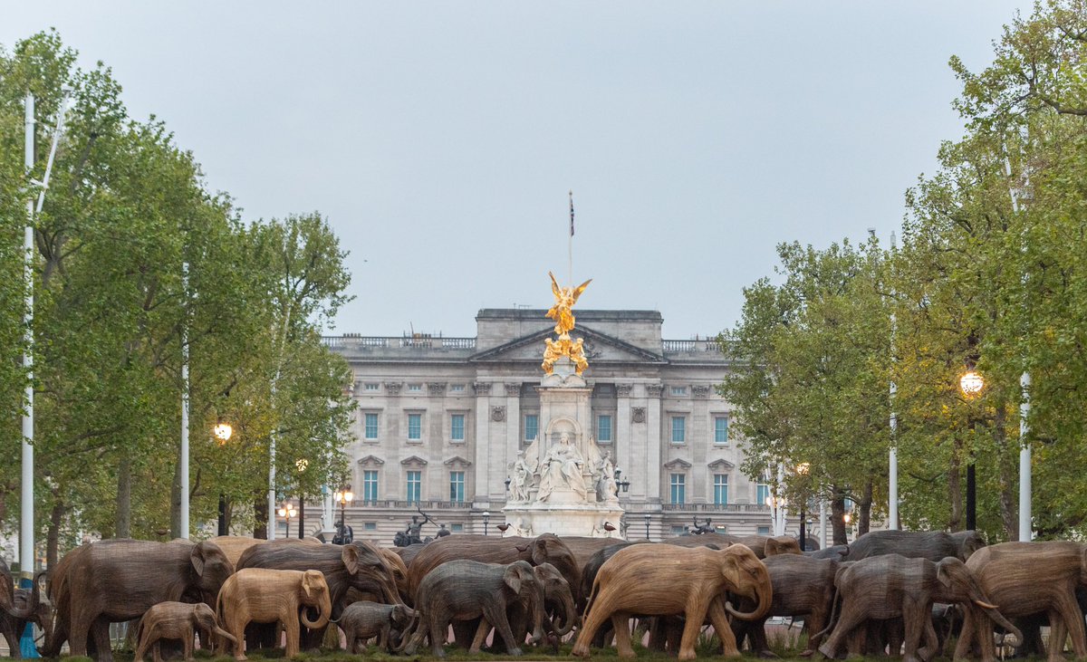 ❓Why did the elephants cross the road?

✅ To raise awareness of healthy co-existence between humans and animals!

🐘Today, 100 life-size Asian elephants created by communities in Tamil Nadu are crossing the Mall, placed there by conservation charity <a href="/elephantfamily/">Elephant Family</a>.