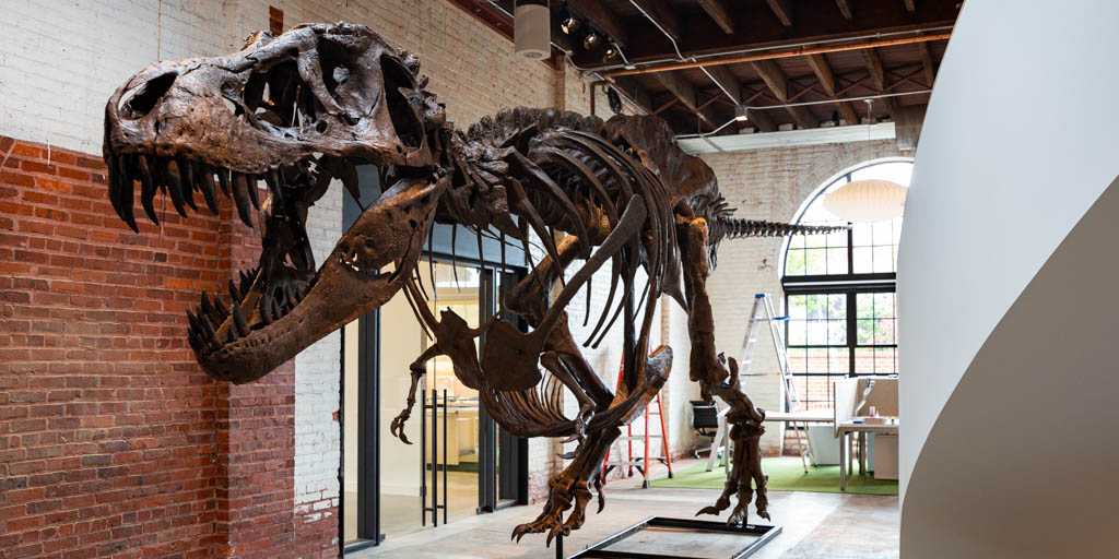 Knowledge will never go extinct and as long as everyone continues fostering curiosity and joy for learners of all ages, we’ll never forget the days when dinosaurs walked the Earth🦖🦕  #NationalDinosaurDay <a href="/GreatMindsEd/">Great Minds</a>