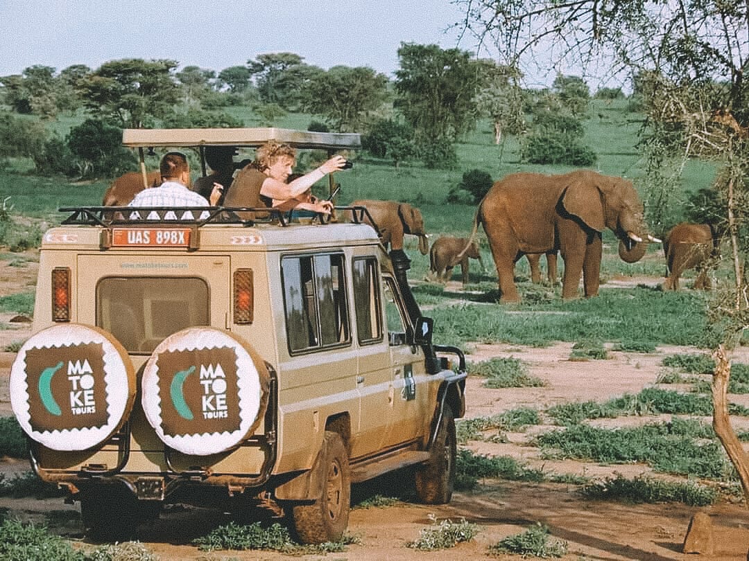 💛RWANDA OP CODE GEEL💛
Vermijd het massatoerisme in Europa en reis hééél relaxed met Matoke Tours naar het kleinschalige, groene, buitengewoon mooie en veilige #Rwanda!

👇👇
matoketours.nl/rwanda