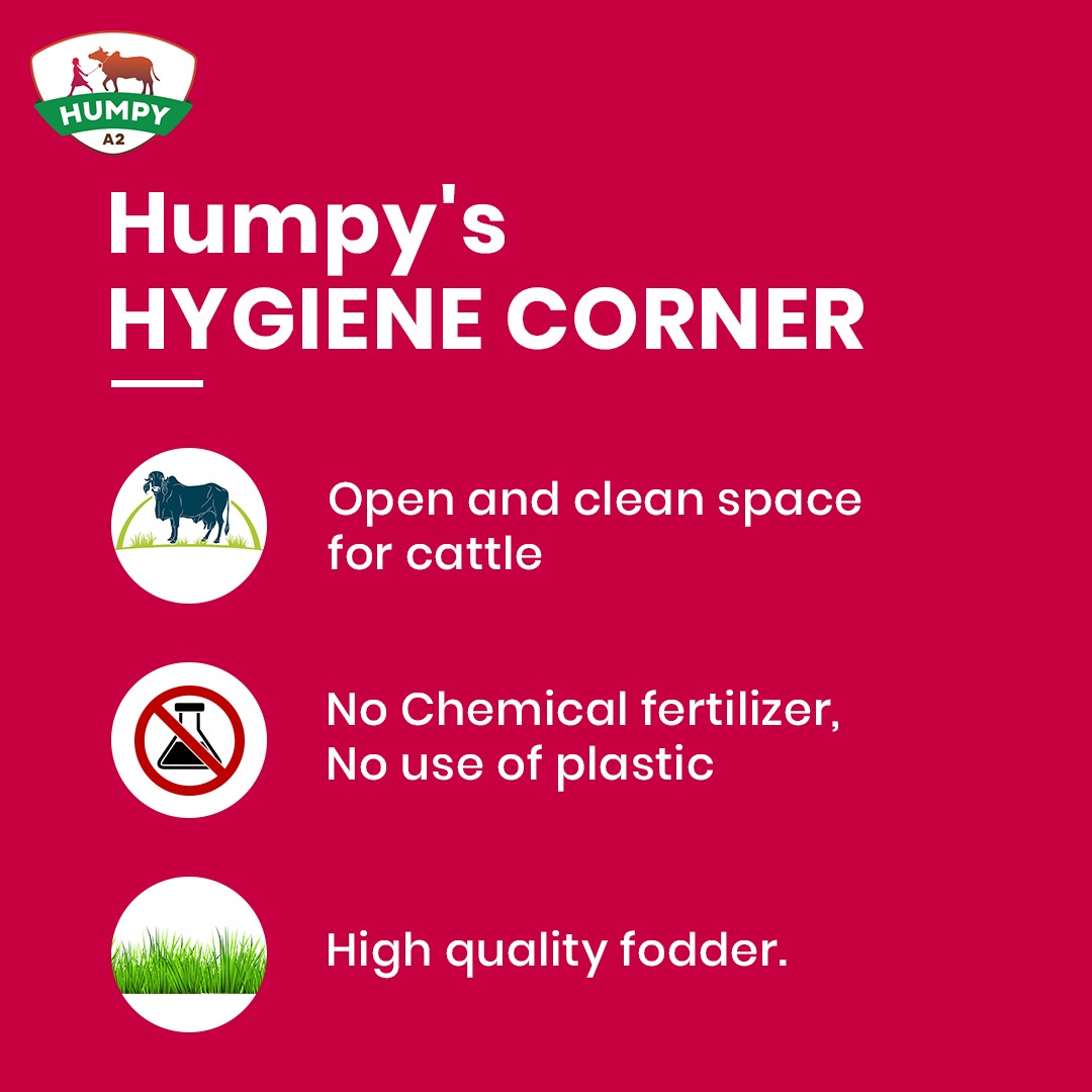 HumpyA2's tweet photo. A clean environment is a happy environment. And a happy environment means a happy cow who will produce the best milk for your great health. 
#theorganiccarbon #humpya2 #A2milk #milk #farm #dairy #farmlife #milk #agriculture #cows #dairycows #dairyfarmer #dairycow #cow #farmer https://t.co/4mPtOAbcLA