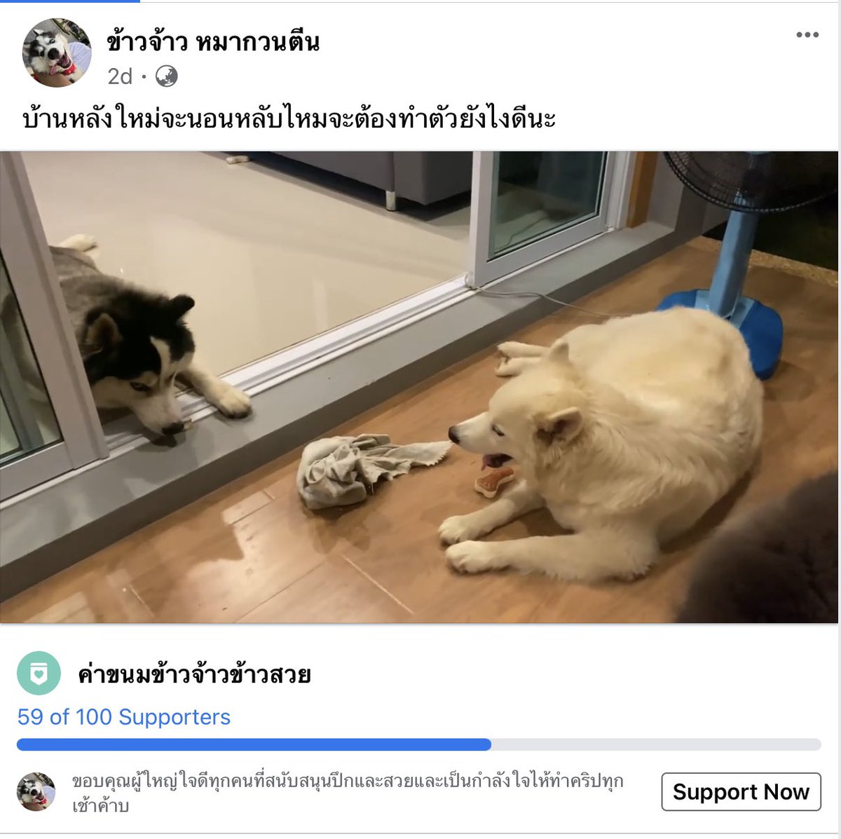 สอบถามหน่อยค่ะ ในขณะที่เพจเปิดซัพพอร์ทค่าข้าวหมา แต่เจ้าของหมาซื้อบ้านใหม่ มันย้อนแย้งกันไหมคะ  #ไม่สนับสนุนคอนเท้นชุดนักเรียน