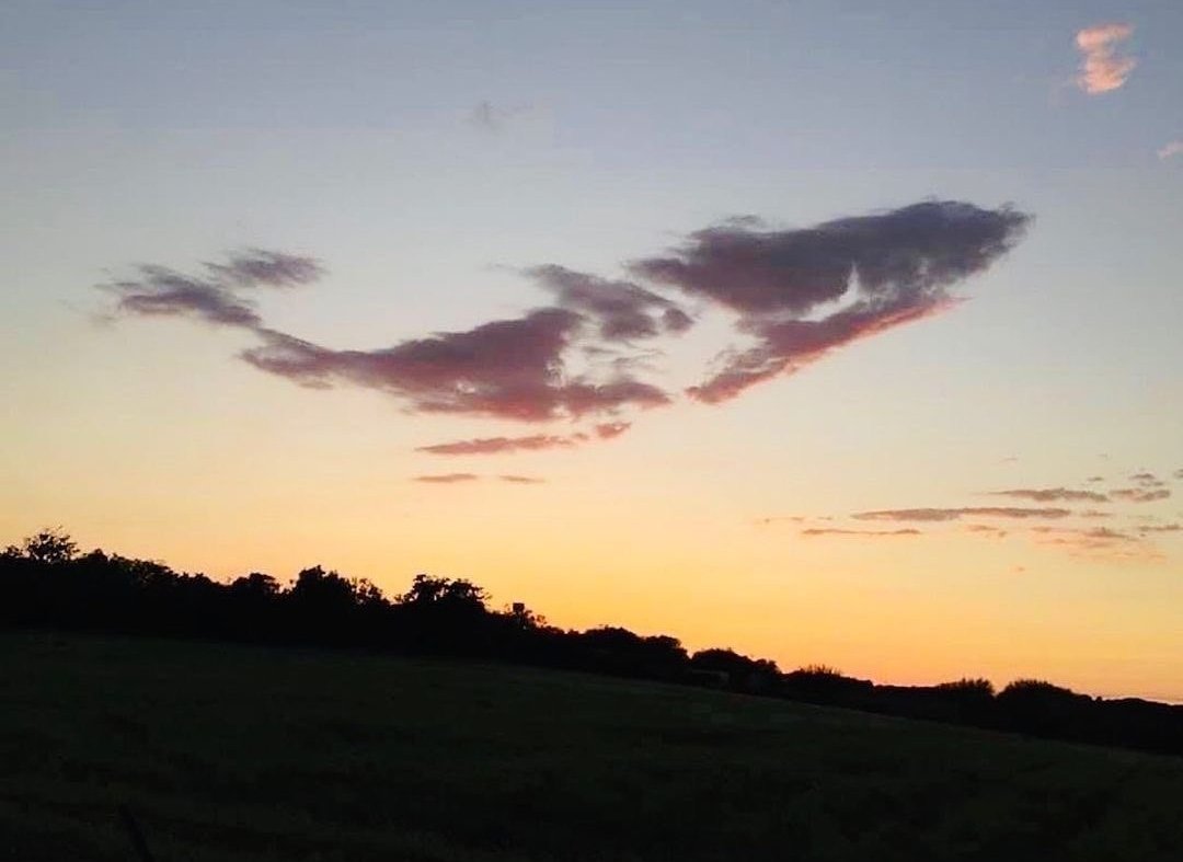 สวยจัง 🐋💙