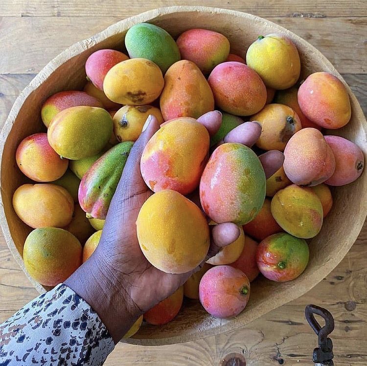 GuineeBuzz's tweet image. Où trouvons-nous les meilleures mangues en #Guinee 🇬🇳 ?