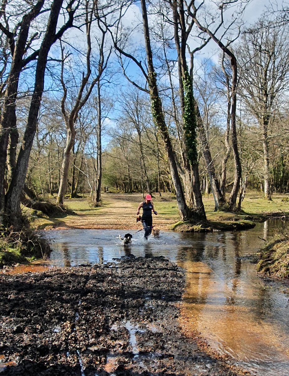 chenners70's tweet photo. Love stream crossings. 💜 #valhallacanicross https://t.co/oXRaL63Zs0