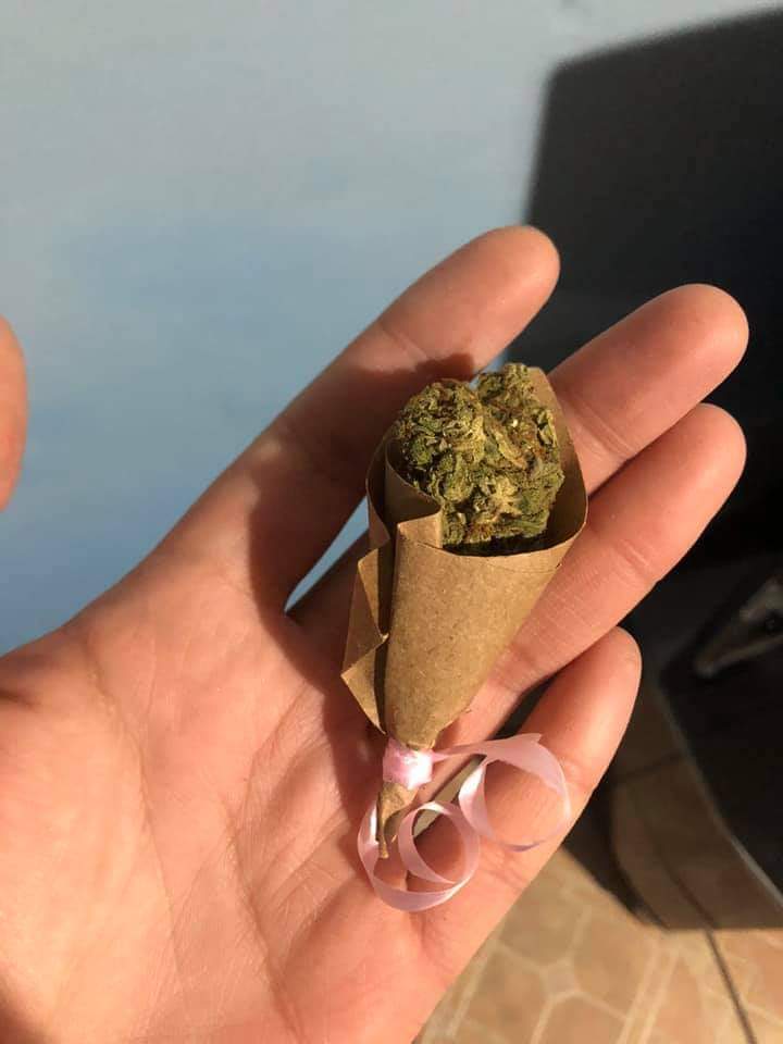 NoeliaAcossta's tweet photo. Te traje unas flores que ya se que te gustan🥺 https://t.co/5YEZFqMqdd