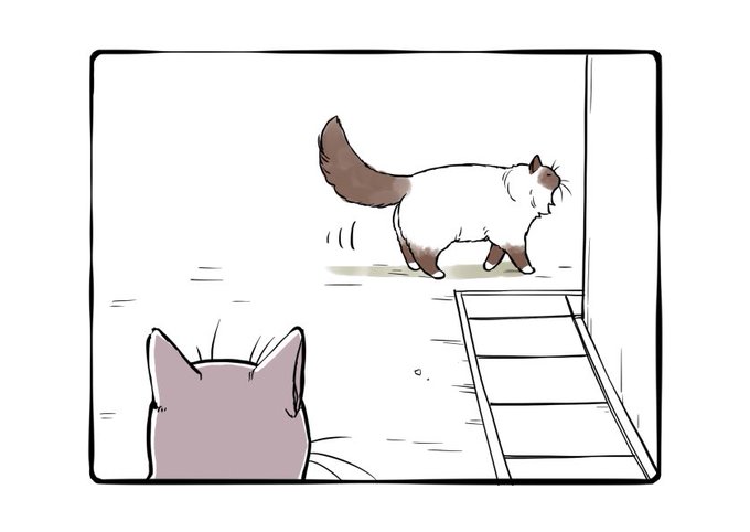 ビーボーイｐ 編集部さん の最近のツイート 16 Whotwi グラフィカルtwitter分析