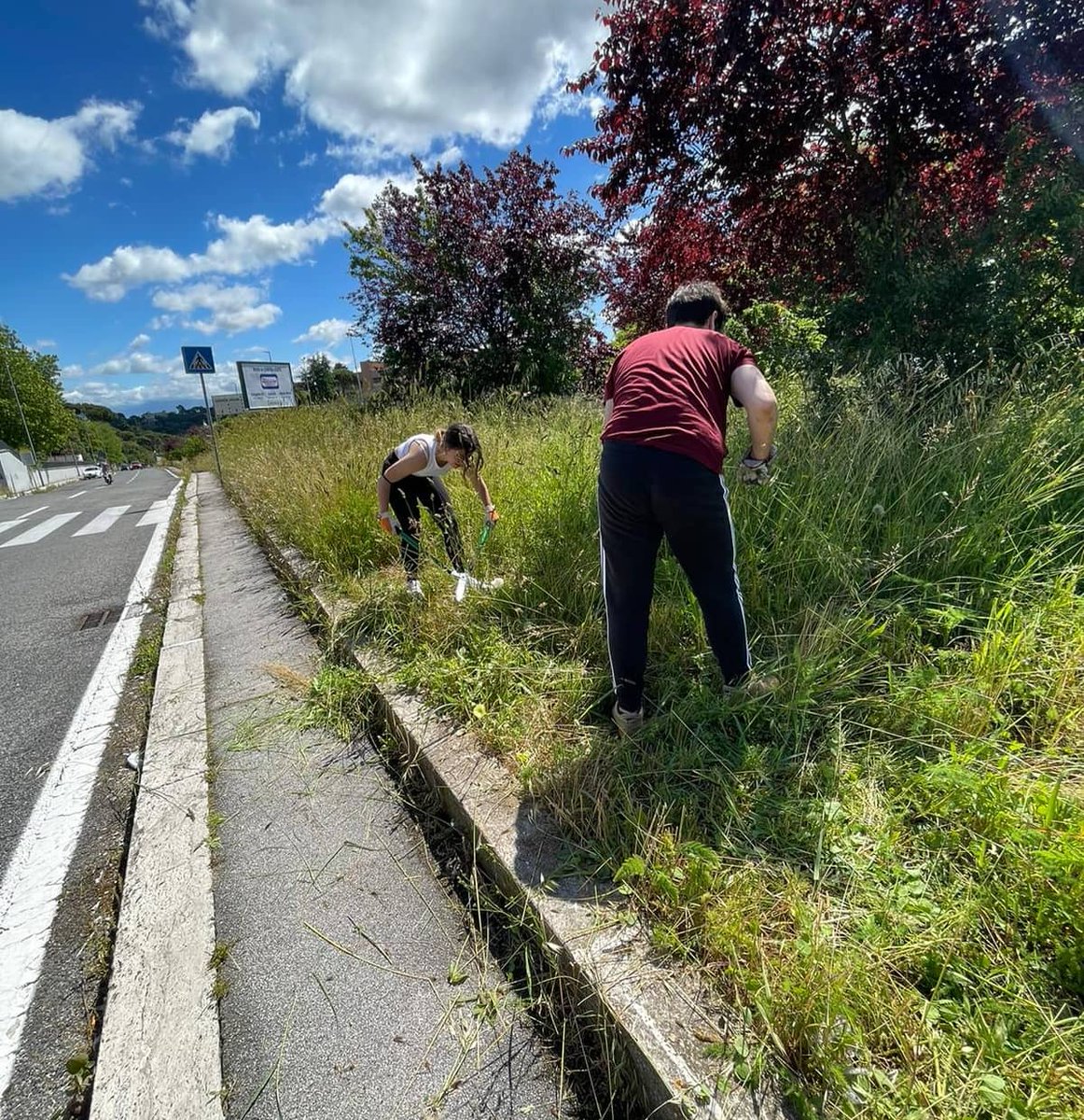 TW_ADMAIORA's tweet photo. Oggi i referenti del Municipio XV @CosLiverani @manueldimartin insieme a @EBattestini e Valentino De Dominicis sono scesi in campo per migliorare la visibilità alla rotonda di via Pieve di Cadore.

#municipioxv #pulizia #admaiora #roma https://t.co/Pc21A7sVBs