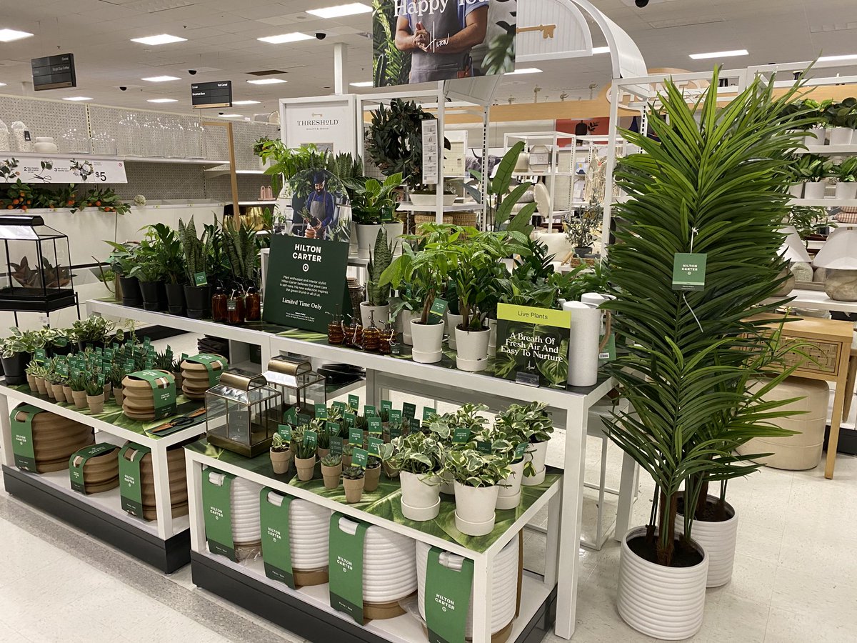 Margaret Giannone tweet media