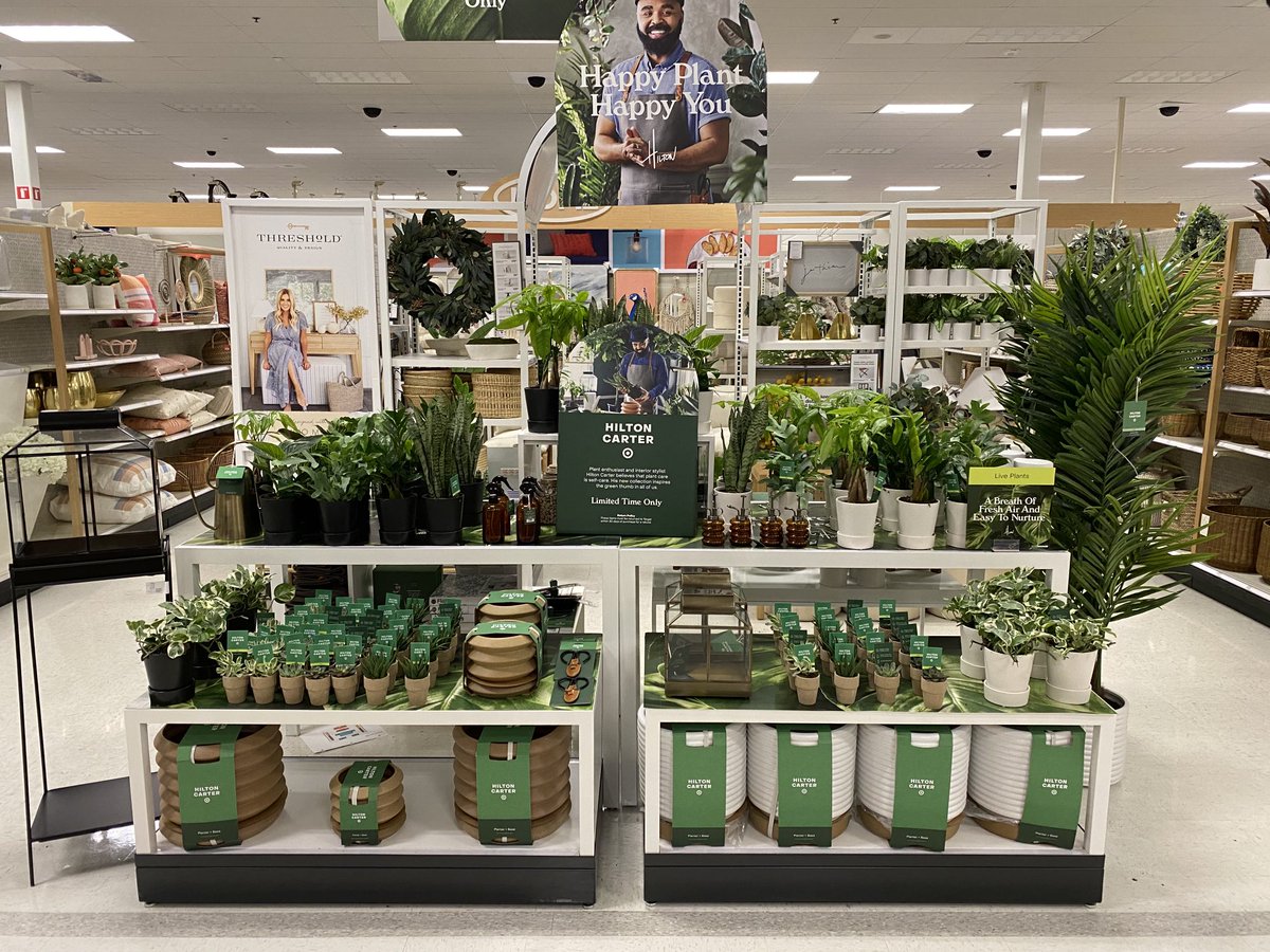 Margaret Giannone tweet media