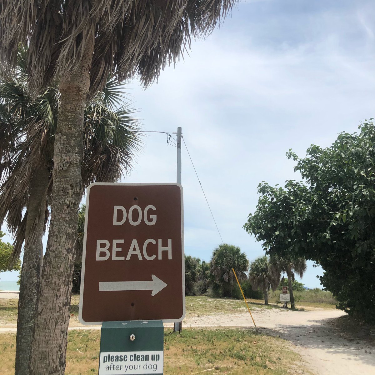 FidoTVChannel's tweet photo. Meet up here? 🐾 https://t.co/8GbbgPEdNM