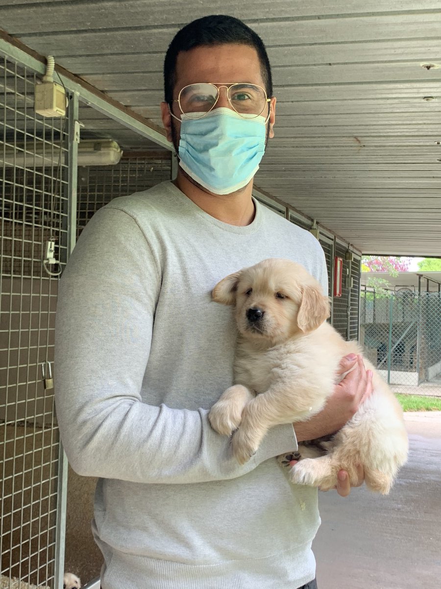 Liked the companion mechanic. Decided to try IRL.