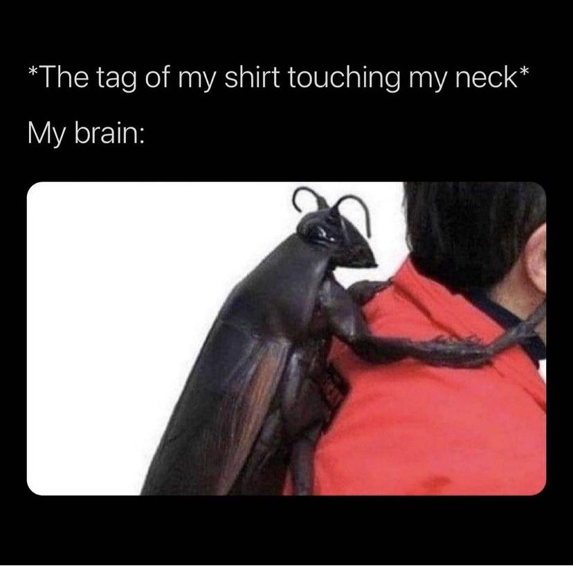 MaryMarslender's tweet photo. I feel seen. #CicadaWatch2021 https://t.co/uwz0RsPC2W