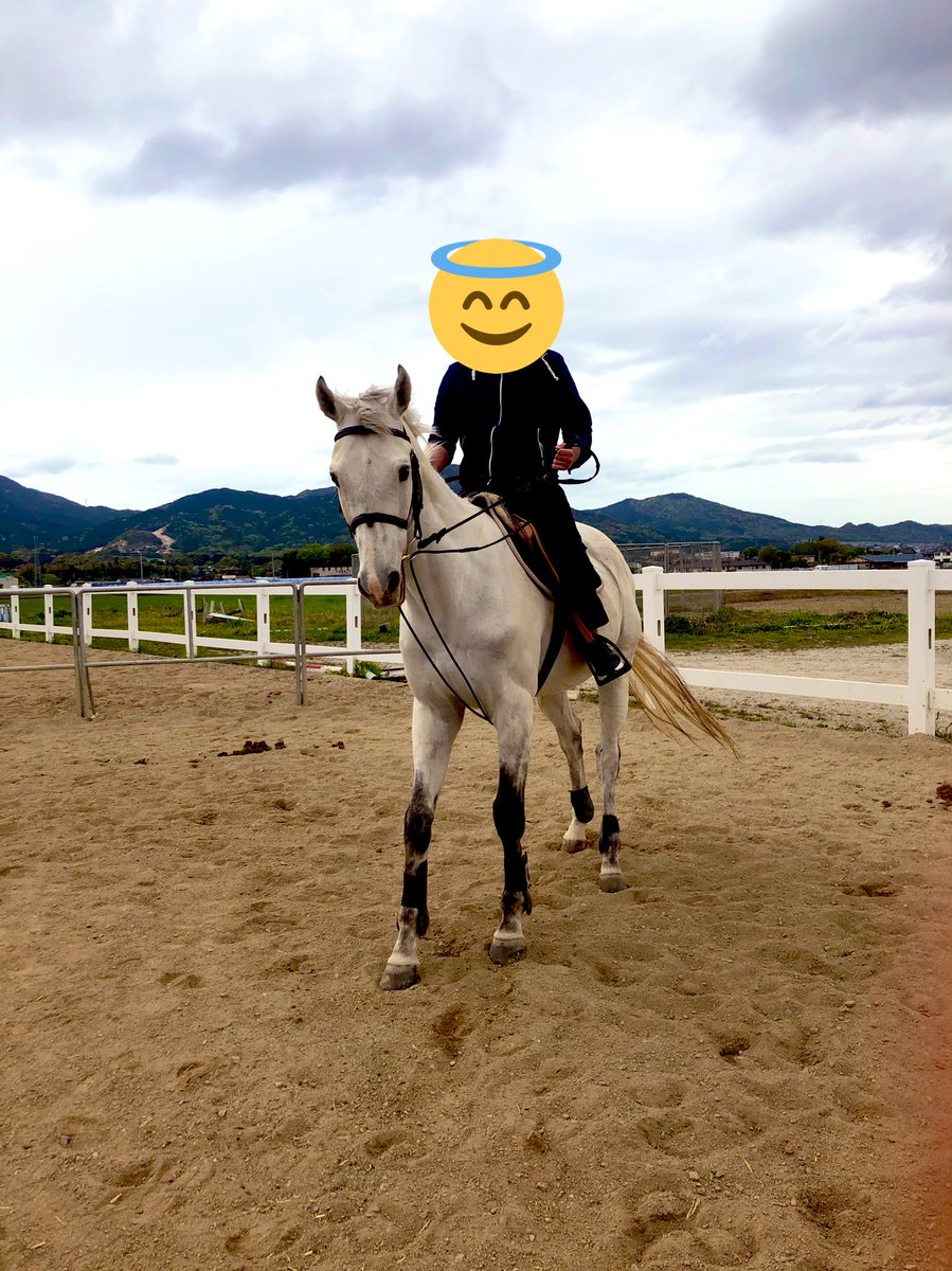 Suomiaaki 乗馬のいいところは 現役時代自分にとって憧れだった馬に乗れるところです