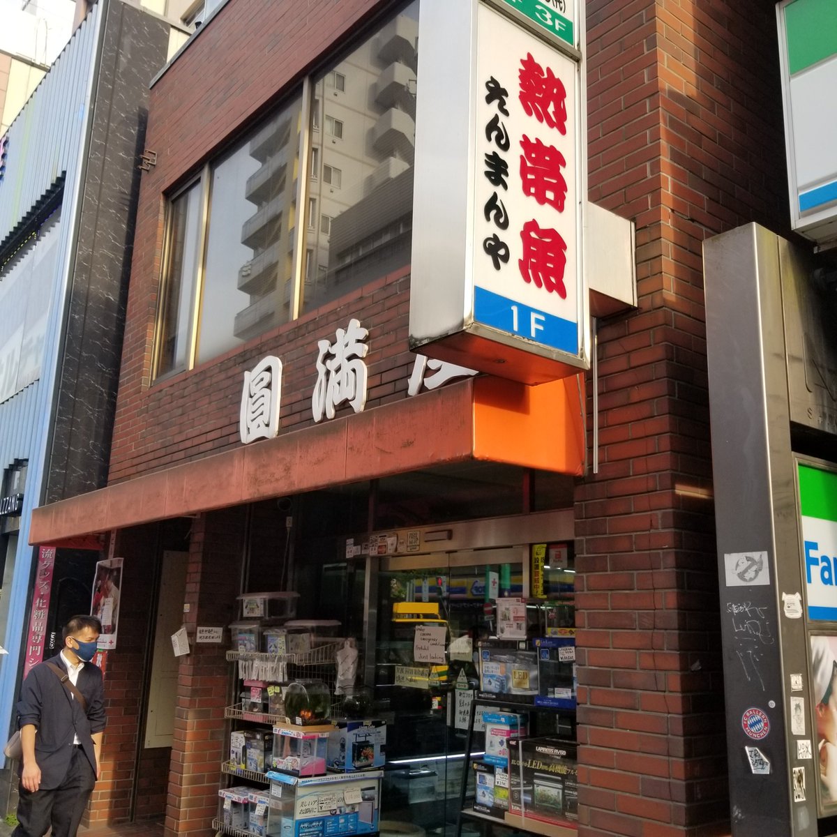 Going Steady 新大久保 円満屋に行ってきました 街全体が韓国色に染まっている新大久保 美味しそうな韓国料理店が乱立しています 韓国料理 韓国料理 韓国料理 熱帯魚 韓国料理 きれいなグッピーがたくさんいました アクアショップ巡り