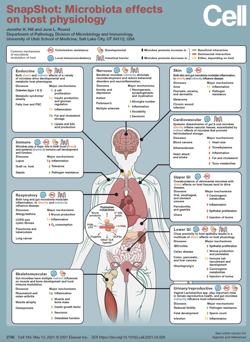 Another great @CellCellPress SnapShot Microbiota effects on host physiology -from Hill & Round sciencedirect.com/science/articl…