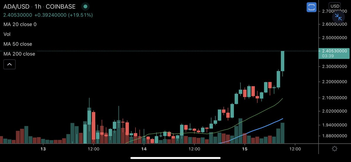 Dan Gambardello tweet media