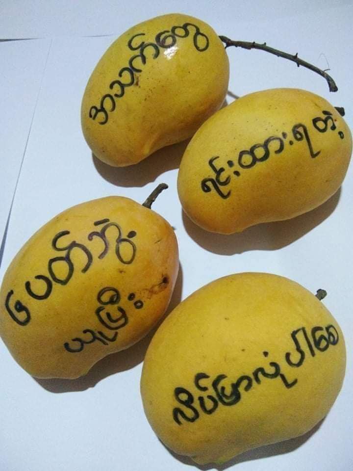 HtinShinn's tweet photo. Magway : Generations Z gathered and held mango strike to reject the military dictatorships today in Magway. One of them said they’ll come back with many counter-revolutions sooner. #WhatsHappeningInMyanmar #May15Coup https://t.co/uSreUVKNf9