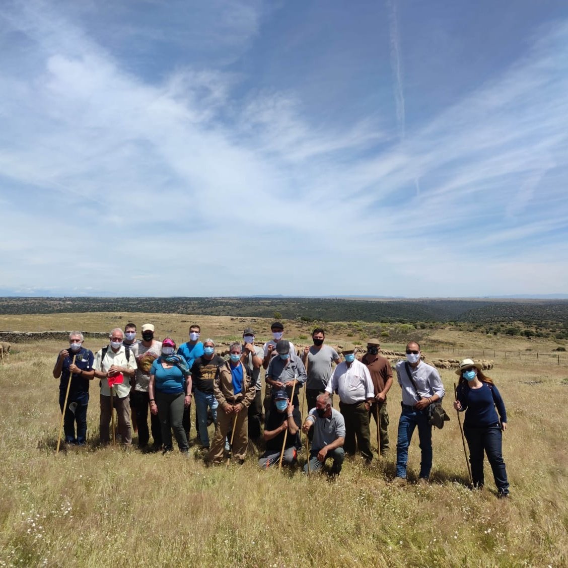GOOvinnova's tweet photo. Detrás de cada proyecto hay un equipo que trabaja duro💪💪💪
La #trashumancia conlleva tradición, saber hacer, planificación, cuidados y mucho amor 🐑🐑🐑🚶🏽‍♀️🚶‍♂️🌾🏞️🌳🌞❤️
#fundacionmontemediterraneo #ayuntamientodeCrémenes
#trashumanciaunapracticaancestralynecesaria #ovejasmerinas https://t.co/10VYOgS8a1