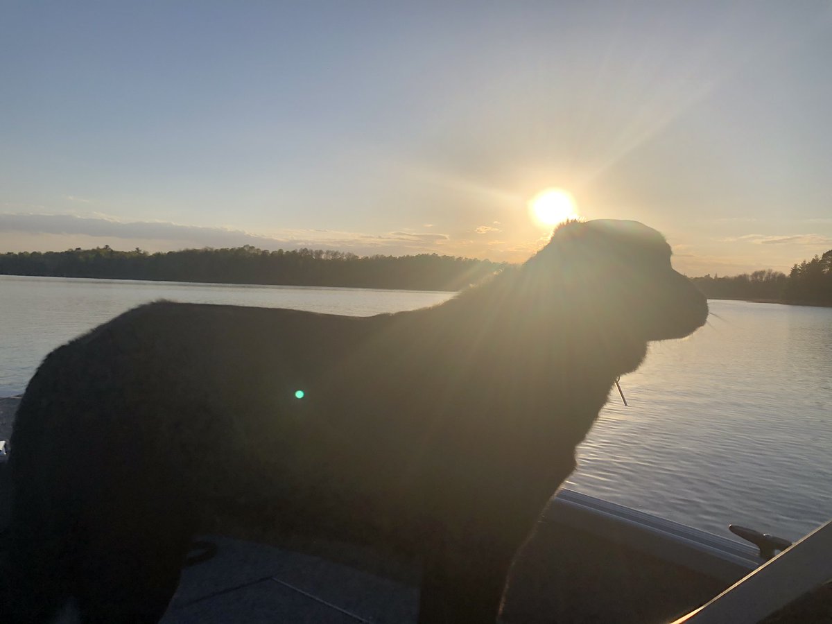 Jane_Gillon's tweet photo. Beautiful #RainyLake #OnlyinNWO #OnlyinMN #Borderland #FortFrances #InternationalFalls #SunsetCountry #RescueDog #BlackDog #Rosie https://t.co/QHAD67S6xp