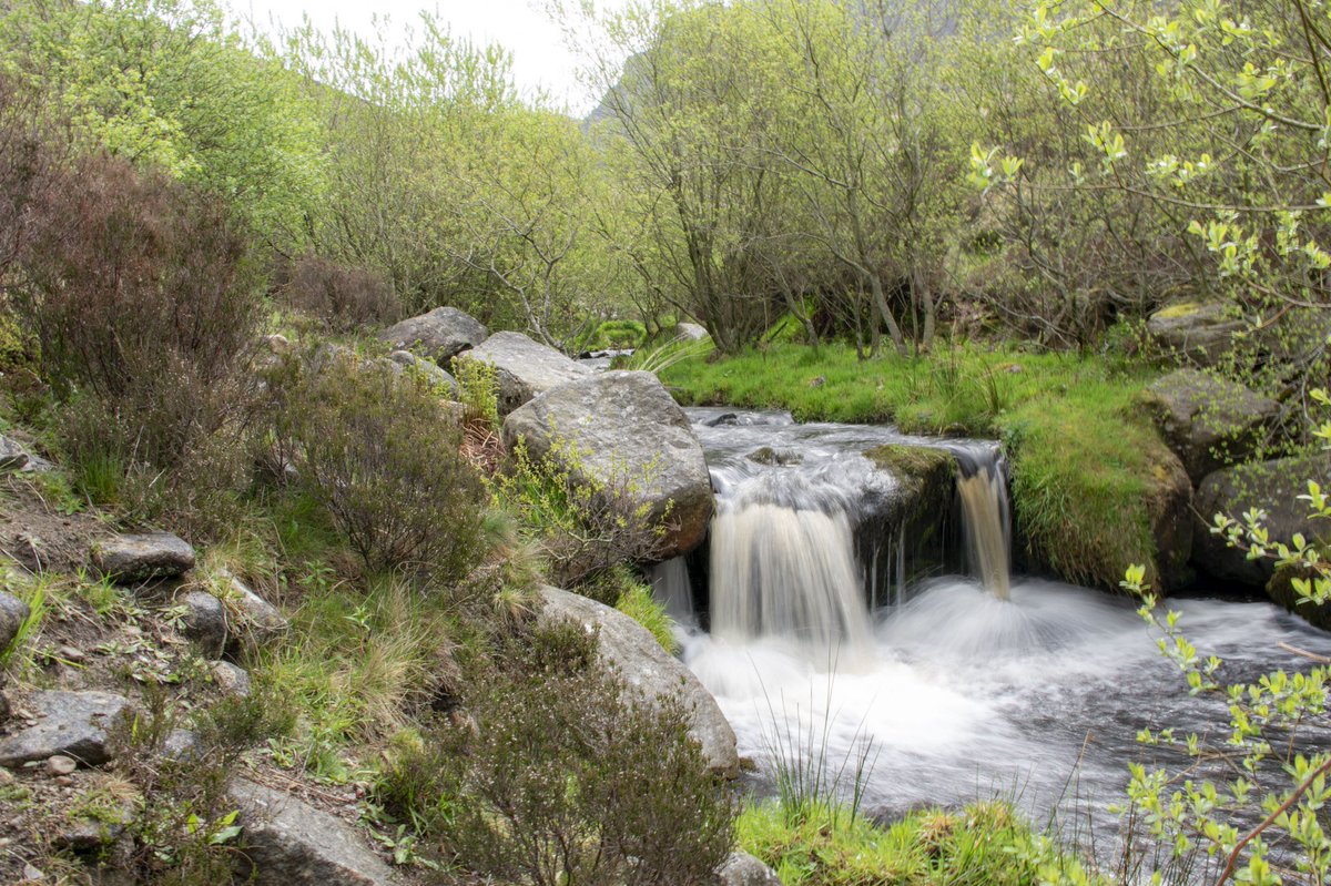 I love getting out and about, hunting little gems like this, and switching off from everything. #outdoors #photography #Hobby #healthandwellness