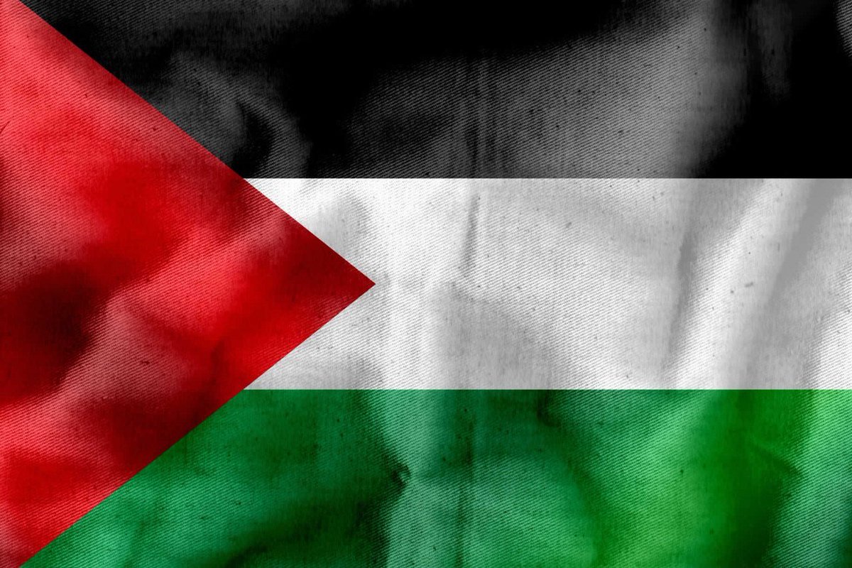 TenBillionIQ's tweet photo. <thread 🧵>

A short thread explaining what realistically needs to be done if you genuinely want Palestine to be liberated, instead of wasting time with meaningless activism.

TL:DR The solution is more Islam, always has been always will be https://t.co/ahtymWDrOu
