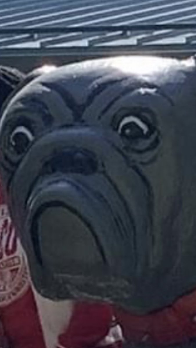 walker_astell's tweet image. LMAOOOOO who approved this 😭