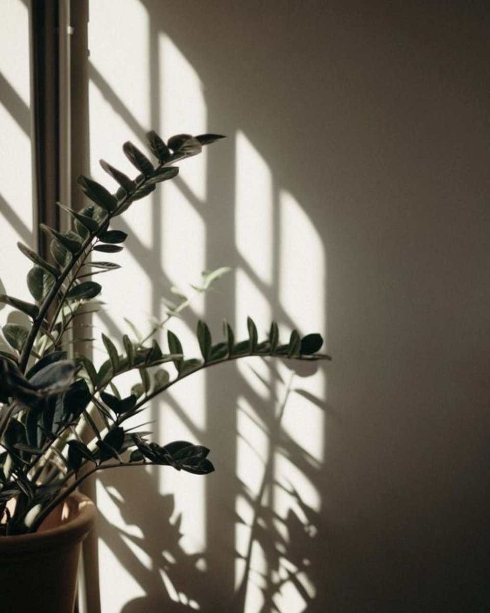 BeshLabs's tweet image. Happy Saturday 💙 Let's do a quick check in with yourself - have you had enough water today? Spent some time in the sun? Most importantly, have you brushed your teeth with BESH today?