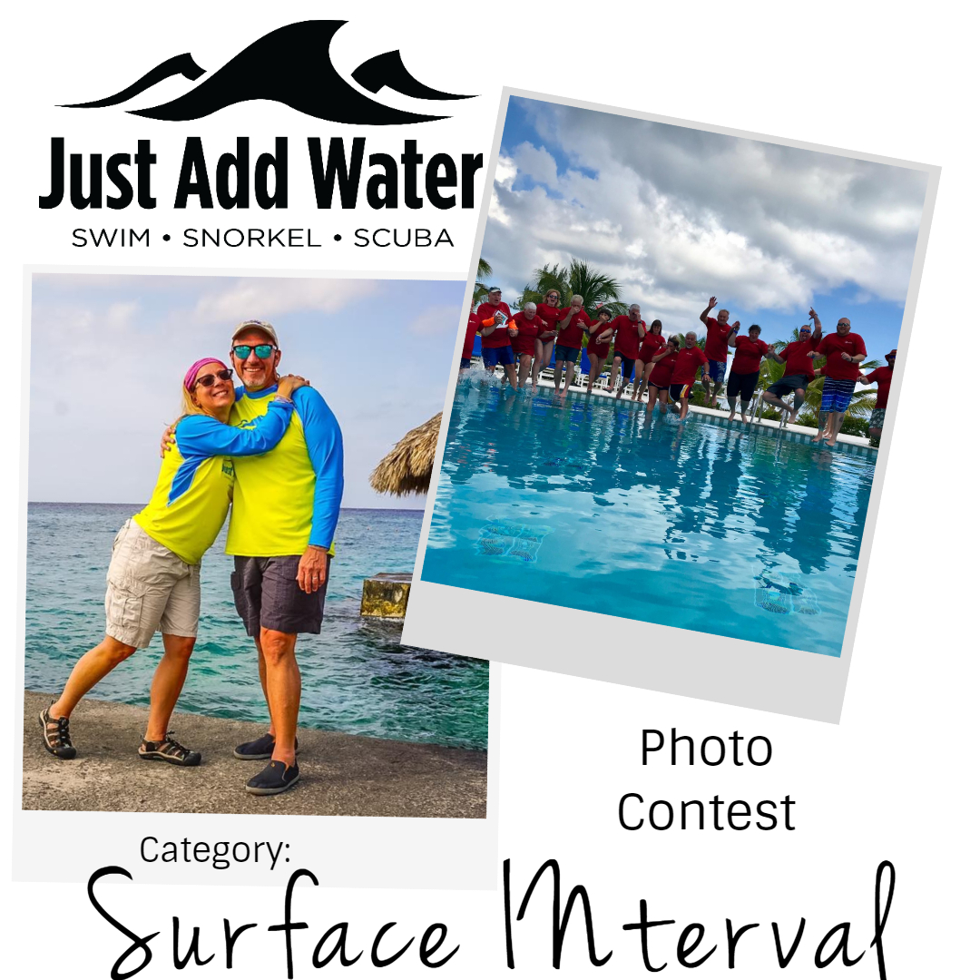 JAW_SCUBA's tweet photo. This Month's Photo Contest Category is A Fun One! SURFACE INTERVALS!  We hope to get lots of entries of photos from Just Add Water Trips and Quarry Days! Submit your entries to GoDive@JustAddWaterScuba.com
Winners receive a $50 Just Add Water gift card! https://t.co/Ua2dhLh6A2
