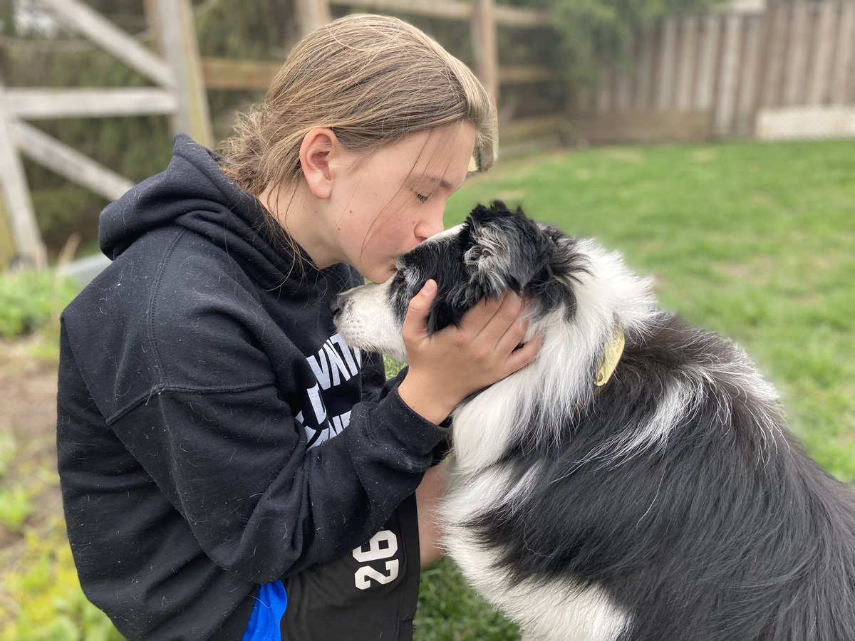 Lost a great friend today.  RIP #SpottheDog <a href="/coppinwoodgc/">Coppinwood Golf Club</a> original goose dog <a href="/DogsOfTurf/">Dogs Of Turf</a> <a href="/Allturf_Ltd/">Allturf</a>