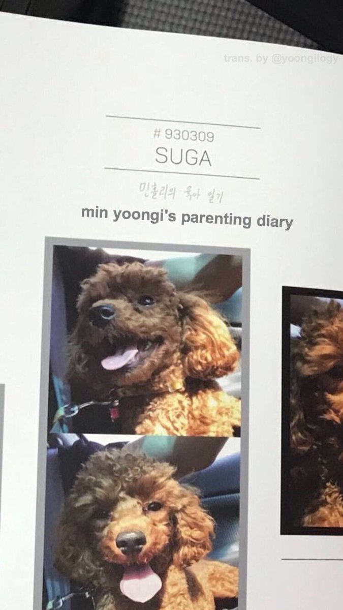 Anpangirl21's tweet photo. Recordemos que Yoongi compartió un diario de crianza en donde escribe y comparte todos los momentos de Holly. Entre las hermosas fotos, está escrito: "En el estomago de papá", "Divirtiéndome solo", "Un mes después de nacer". 

—  I vote @BTS_twt for #BBMAsTopSocial https://t.co/b1bxnHbUgS