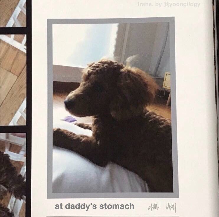 Anpangirl21's tweet photo. Recordemos que Yoongi compartió un diario de crianza en donde escribe y comparte todos los momentos de Holly. Entre las hermosas fotos, está escrito: "En el estomago de papá", "Divirtiéndome solo", "Un mes después de nacer". 

—  I vote @BTS_twt for #BBMAsTopSocial https://t.co/b1bxnHbUgS
