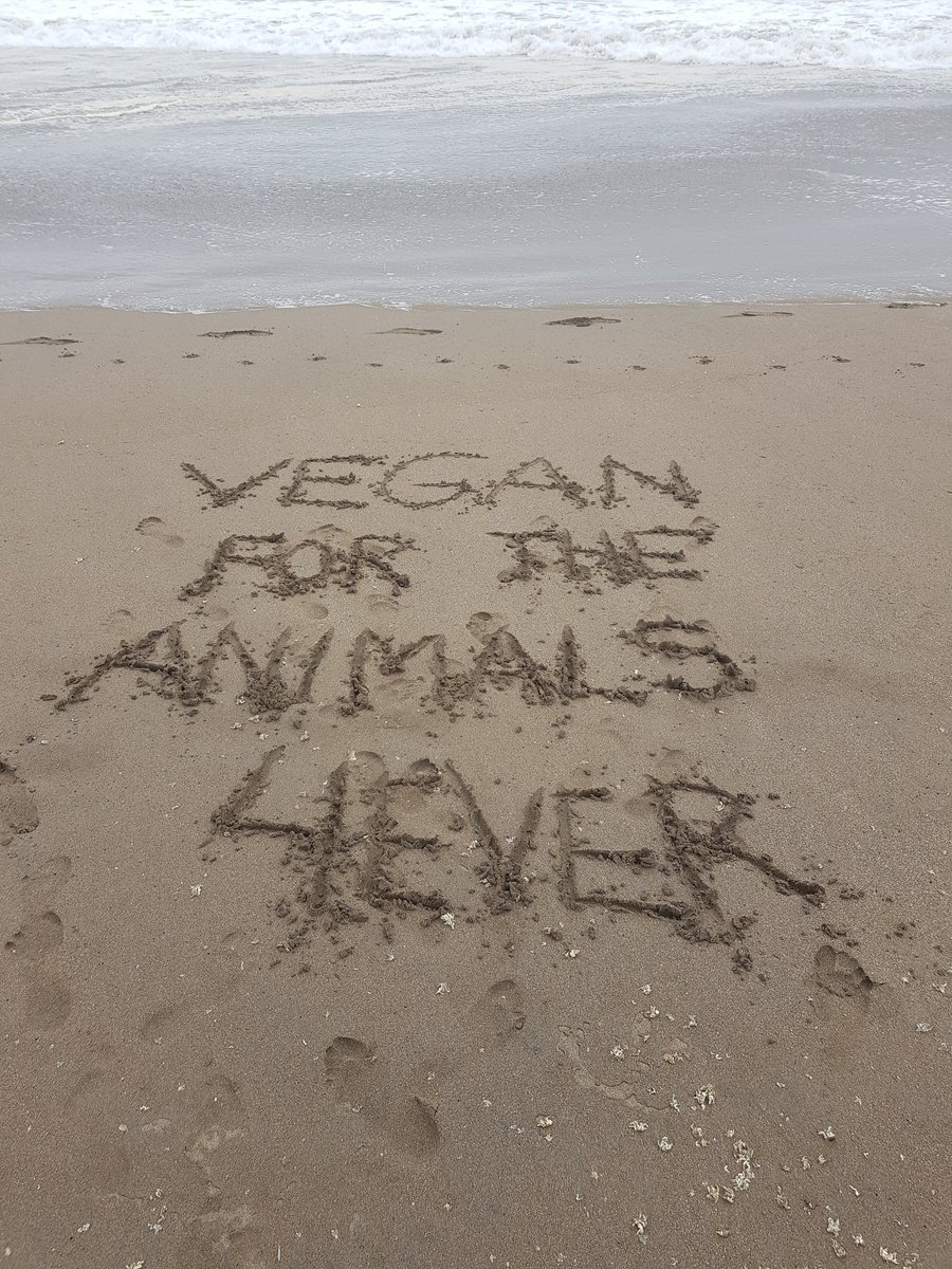 This is what #vegan graffiti looks like!🤗💖

Leave only footprints!🐾💕