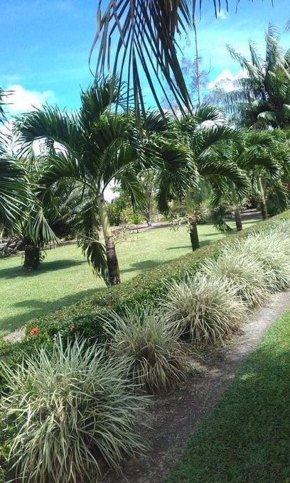 #JAMAICA love this view... 🥰🥰 https://t.co/TcKiC2O54v<a href="/tag/jamaica"class="tags">#JAMAICA</a>